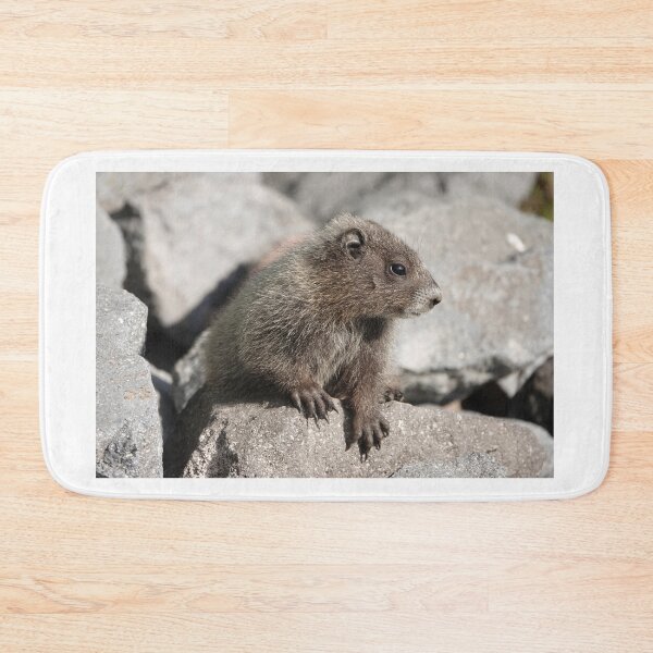 Item preview, Baby marmot in Mount Rainier National Park designed and sold by SDym Photography.