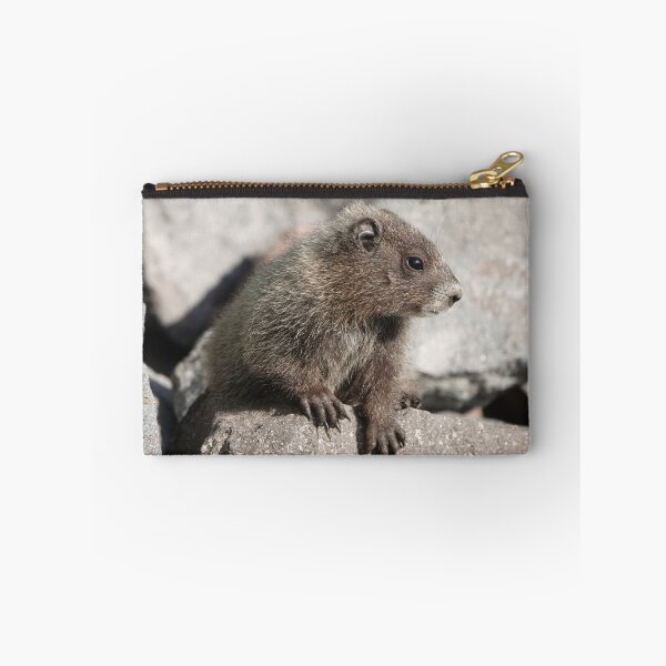 Item preview, Baby marmot in Mount Rainier National Park designed and sold by SDym Photography.