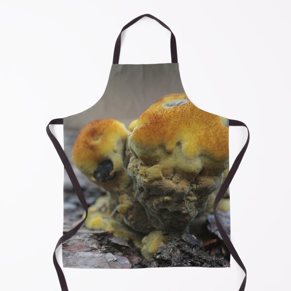 Item preview, Baby Velvet-top Fungus designed and sold by cuprum.