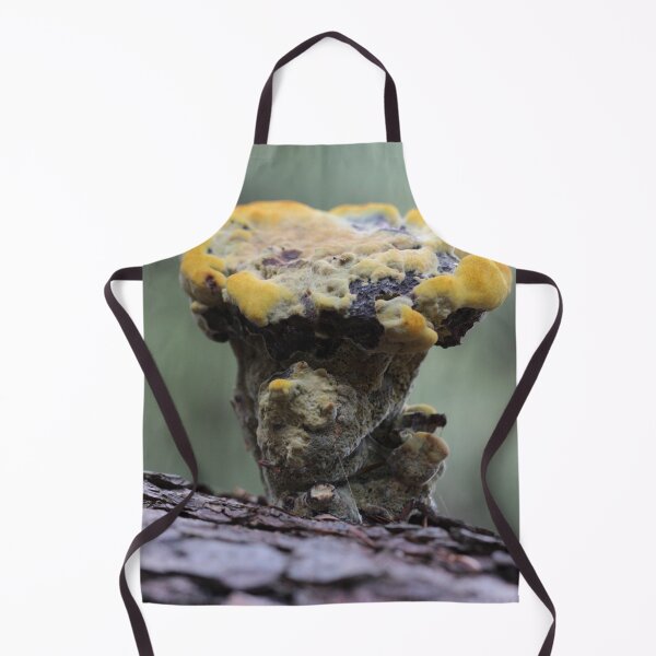 Item preview, Velvet-top Fungus designed and sold by cuprum.