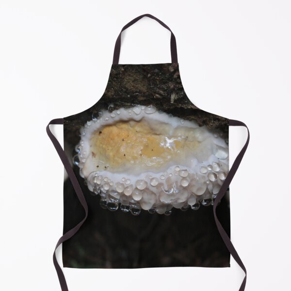 Item preview, Red-banded Polypore I designed and sold by cuprum.