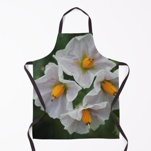 Item preview, The unexpected beauty of the potato flower designed and sold by cuprum.