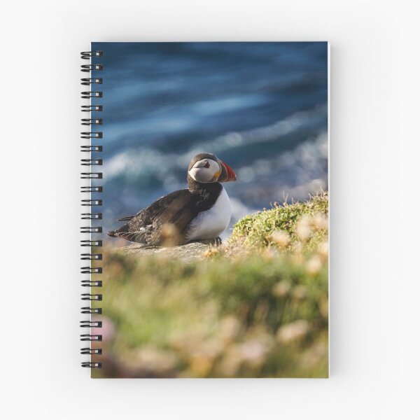 Item preview, Puffin Spotting  designed and sold by CGAPhotography.
