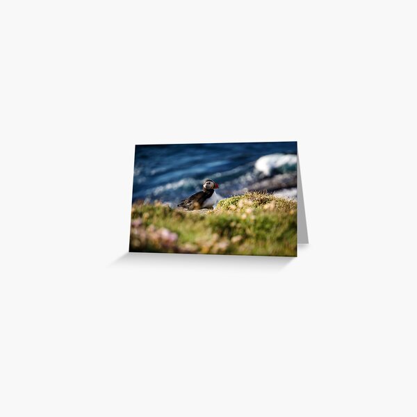 Item preview, Puffin Spotting  designed and sold by CGAPhotography.