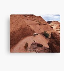 Canyon de Chelley Canvas Print