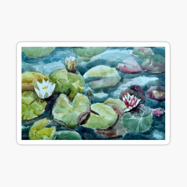White and Pink Waterlilies Sticker
