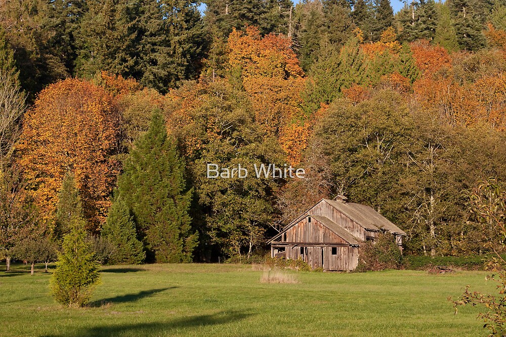 "Fall in County, Washington" by Barb White Redbubble