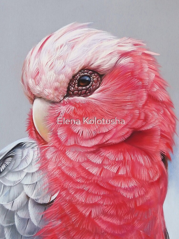 "Galah" by yelenabella