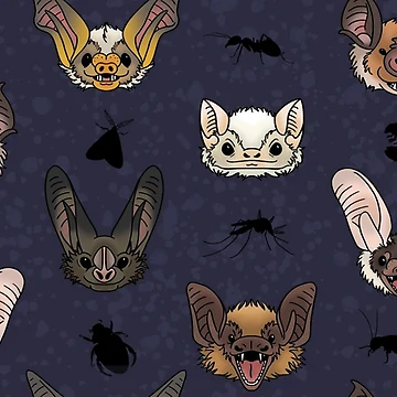 Artwork thumbnail, Insectivorous Bat Pattern by Dixie Huckabay