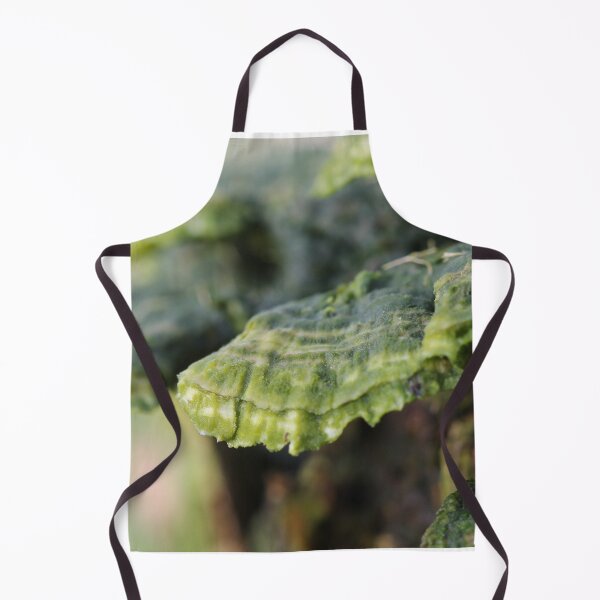 Item preview, Trametes in decay designed and sold by cuprum.