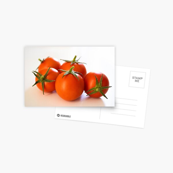Red tomatoes Postcard