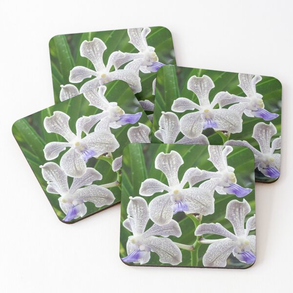 Item preview, White Orchids designed and sold by VladiPashov.