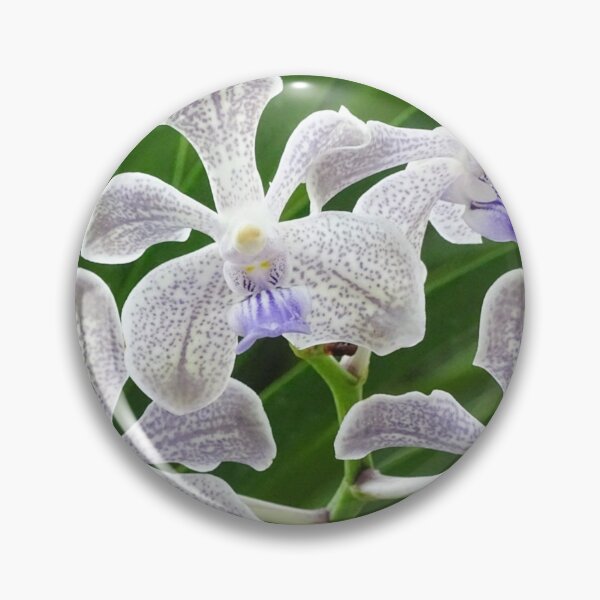 Item preview, White Orchids designed and sold by VladiPashov.