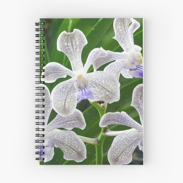 Item preview, White Orchids designed and sold by VladiPashov.