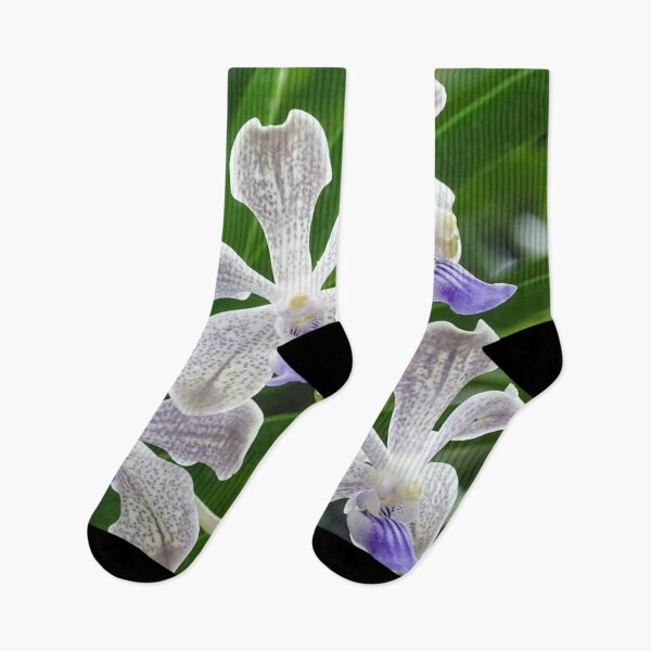 Item preview, White Orchids designed and sold by VladiPashov.