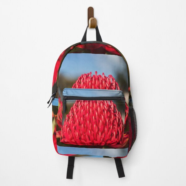 Item preview, Huge red Waratah flowerheads in spring designed and sold by Danielasphotos.