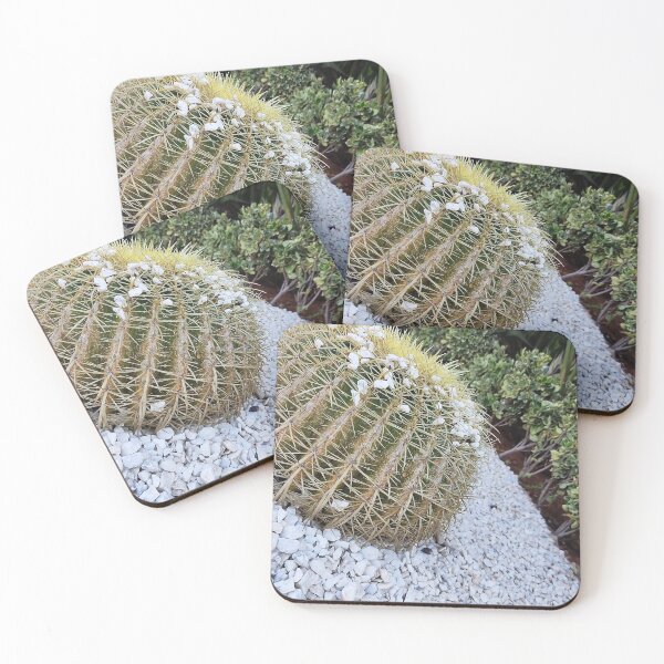 Item preview, Cacti, Cactus Green succulent Photography designed and sold by Medmac's Designs.