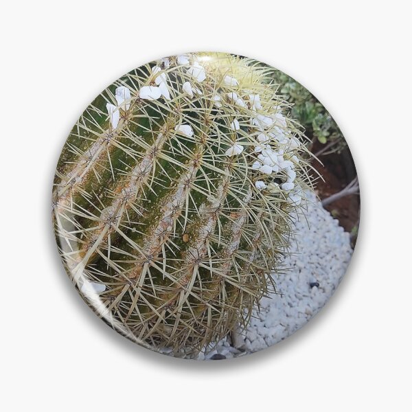 Item preview, Cacti, Cactus Green succulent Photography designed and sold by Medmac's Designs.