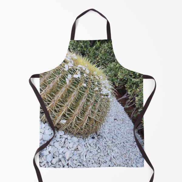 Item preview, Cacti, Cactus Green succulent Photography designed and sold by Medmac's Designs.
