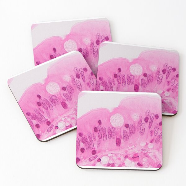 Item preview, Goblet cell designed and sold by Love Histology.