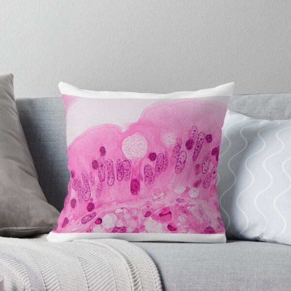 Item preview, Goblet cell designed and sold by Love Histology.
