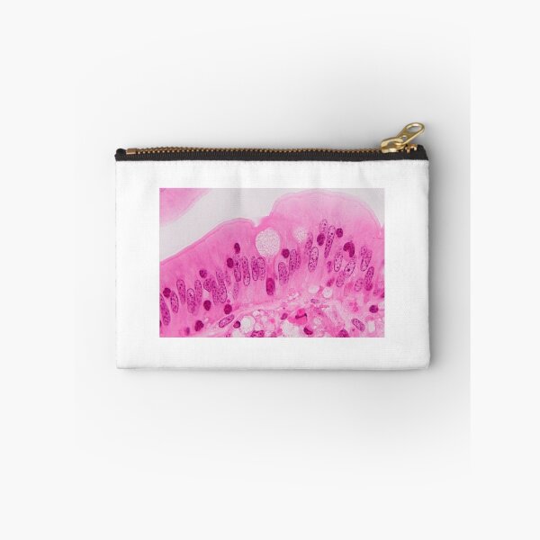 Item preview, Goblet cell designed and sold by Love Histology.