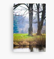 ANOTHER DAY AT THE POND Canvas Print