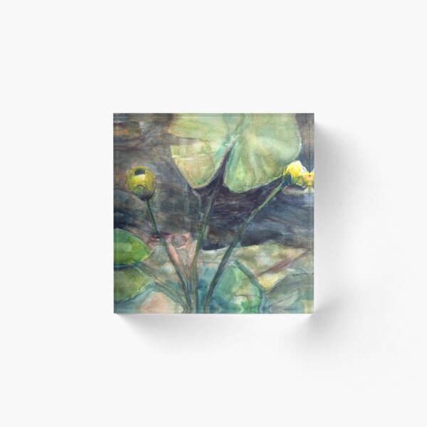Yellow waterlily Acrylic Block