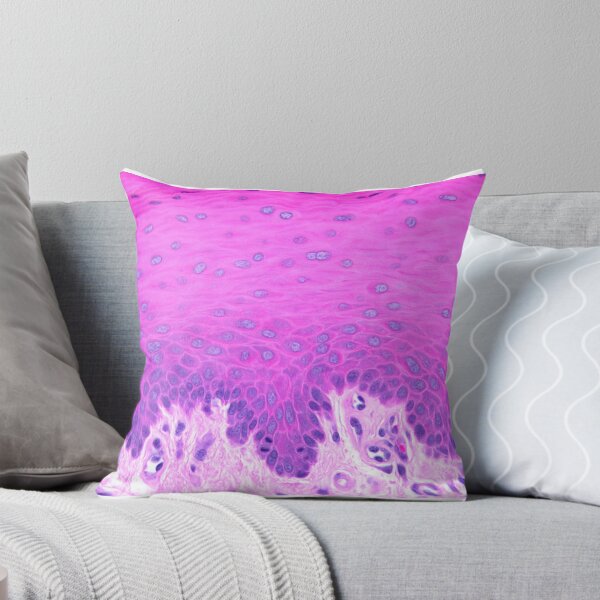 Item preview, Stratified squamous non-keratinized epithelium designed and sold by Love Histology.