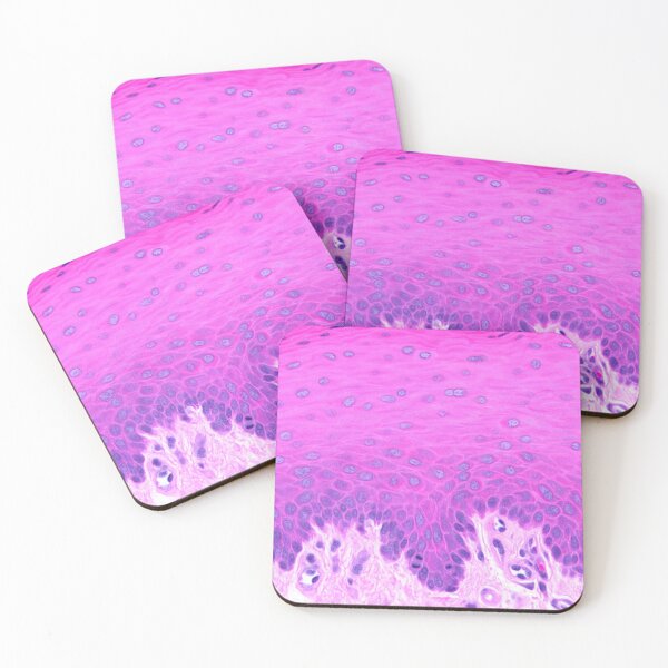Item preview, Stratified squamous non-keratinized epithelium designed and sold by Love Histology.
