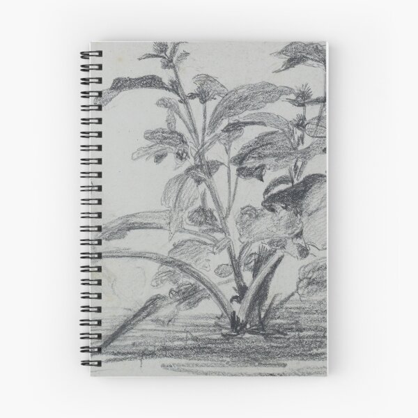 Item preview, Pencil sketch - burdock  designed and sold by NorthantsPast.