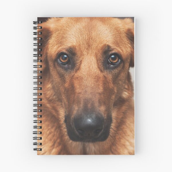 Item preview, Lotte designed and sold by Jofabi.