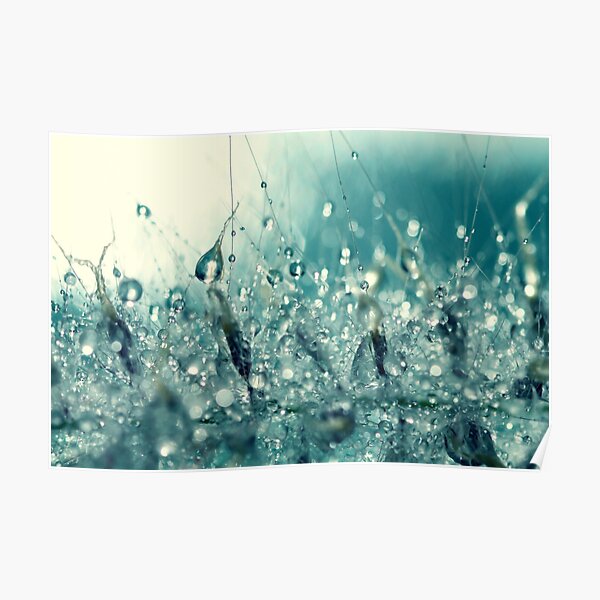 Under the sea. Poster