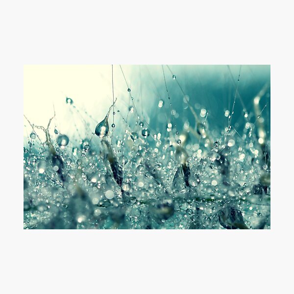 Under the sea. Photographic Print