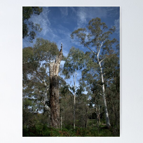 Item preview, Third Falls Track designed and sold by Ben Loveday.
