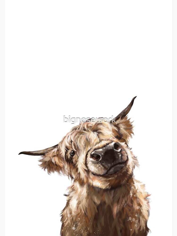 Highland Cow by bignosework