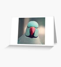 Angry Bird Greeting Card
