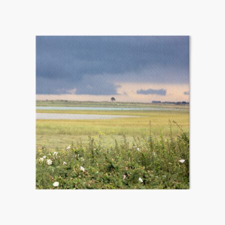 summer walks Art Board Print