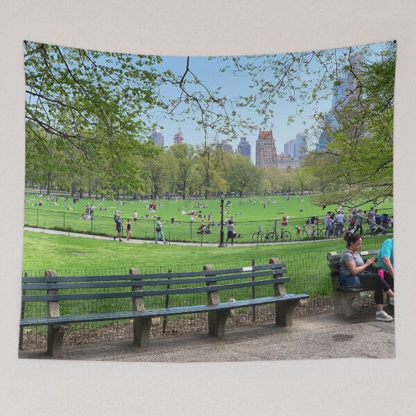 Item preview, Central Park designed and sold by VladiPashov.