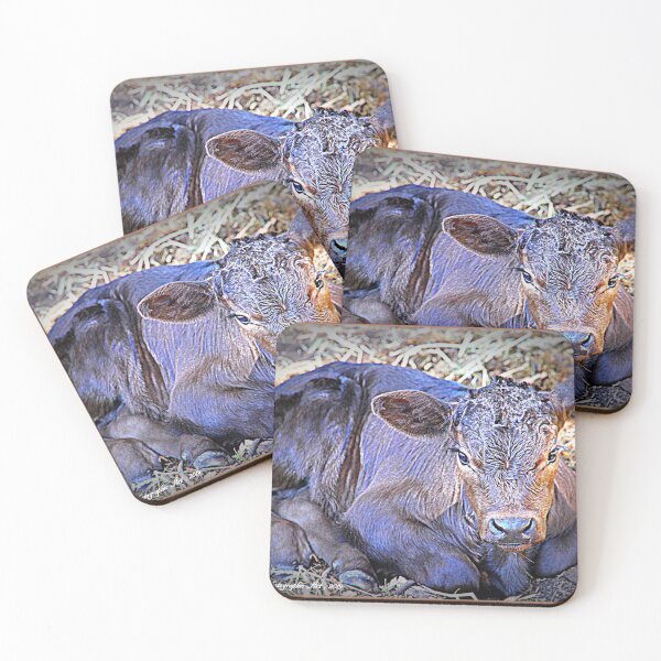 Item preview, BEAUTIFUL BABY  CALF  designed and sold by Opalbluerose.