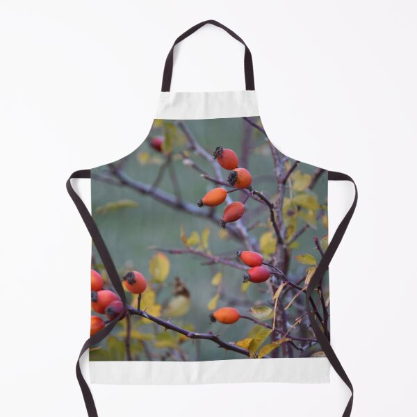 Item preview, Rosehips designed and sold by CameliaC.