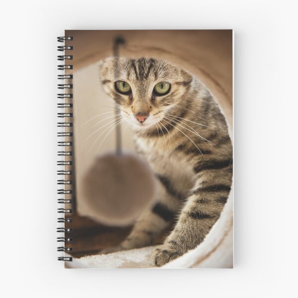 Artikelvorschau, KATZE entworfen und verkauft von Sobri.