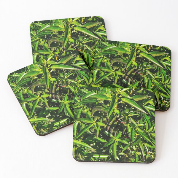 Item preview, green leafy plant designed and sold by To-the-T.