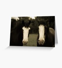 Two Horses Greeting Card