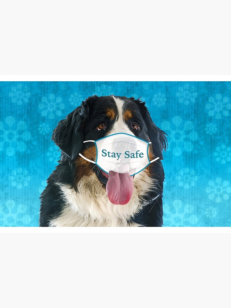Bernese Mountain Dog Face Mask by itsmechris