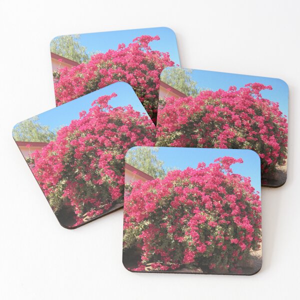Item preview, Bougainvillea designed and sold by LizEllisPhotos.