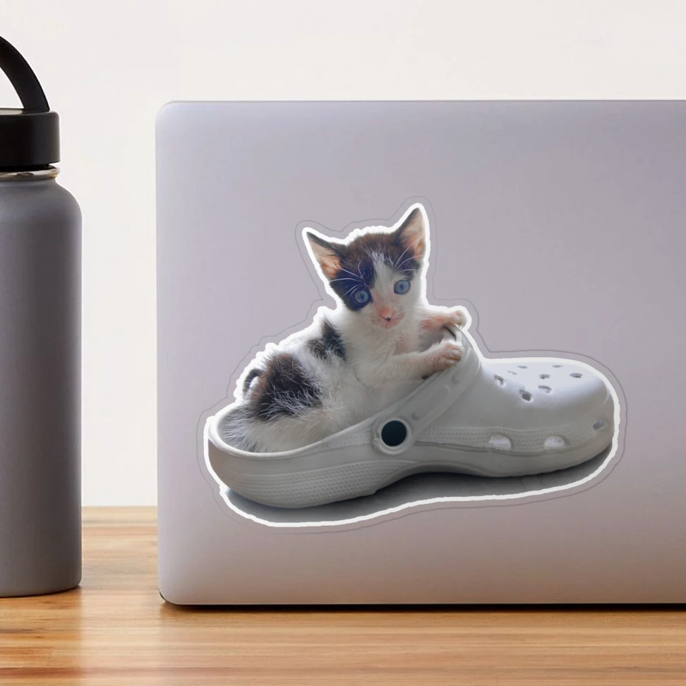 cat with crocs | Sticker