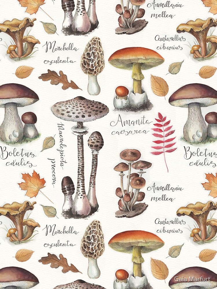 Botanical Mushrooms by gaiamarfurt