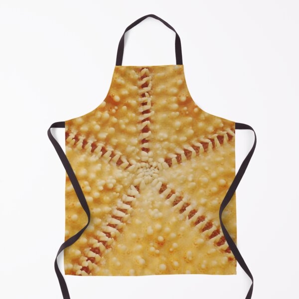 Aperçu de l'œuvre Starfish créée et vendue par Islandjunkie09.