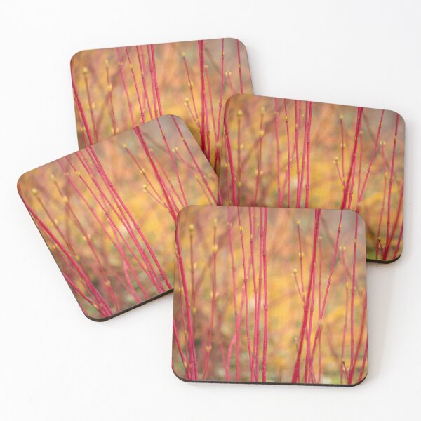 Item preview, Beth Chatto dogwood designed and sold by ccullen222.